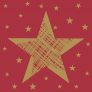 Dun Lautasliina Shining Star punainen 24cm 53g