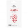 Dippmix Lingon 20g – 90% rabatt