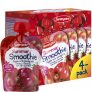 Smoothie Sommar 4-pack – 36% rabatt