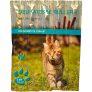 Kattsticks 5-pack – 60% rabatt