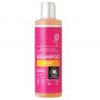 Shampoo "Rose" 250ml – 87% rabatt